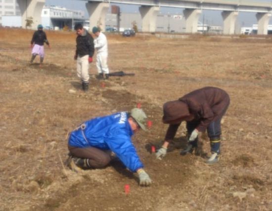 雑草の根及び瓦礫拾いの様子